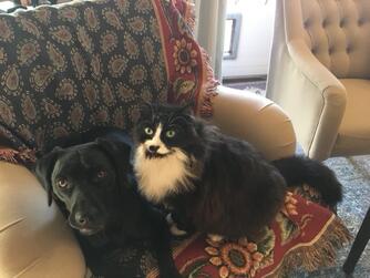 Großer Moment: Die Papiere zur Gründung der neuen Stiftung an der Hochschule werden vom Vorstandsvorsitzenden der Sparkasse.